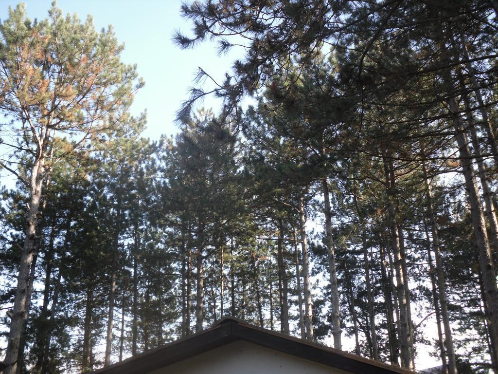 Guest House Keserovic Vinci Exterior photo
