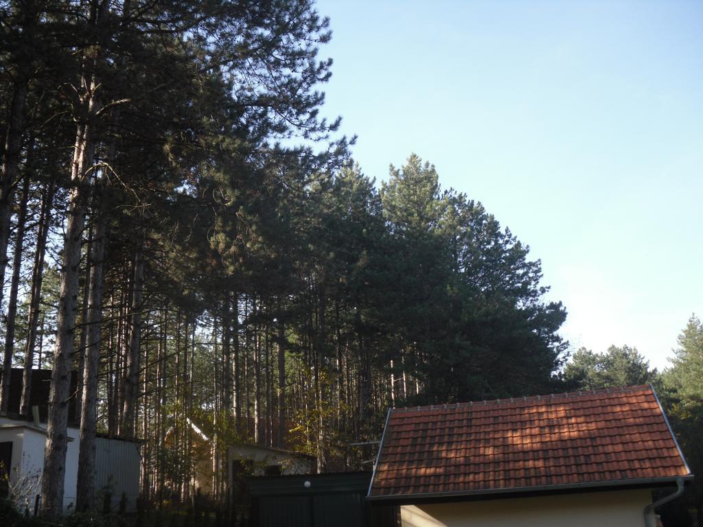 Guest House Keserovic Vinci Exterior photo