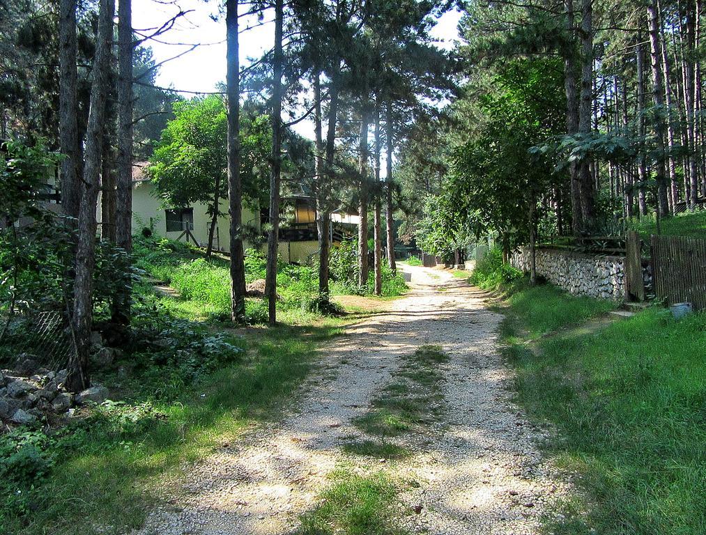 Guest House Keserovic Vinci Exterior photo