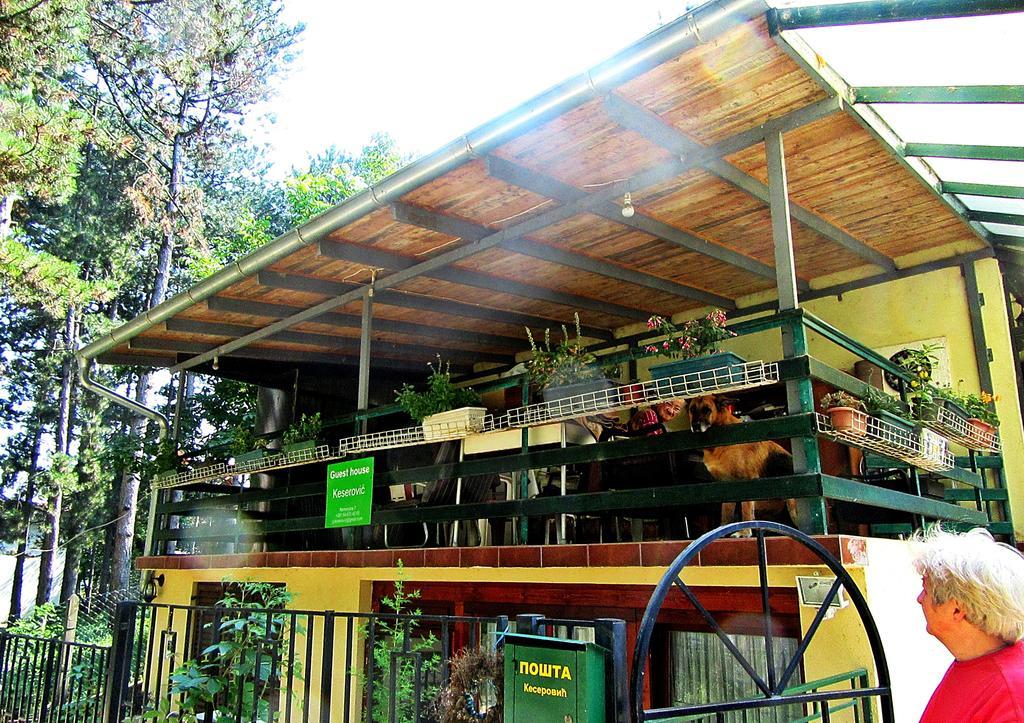 Guest House Keserovic Vinci Exterior photo