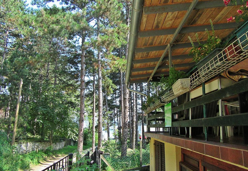 Guest House Keserovic Vinci Exterior photo