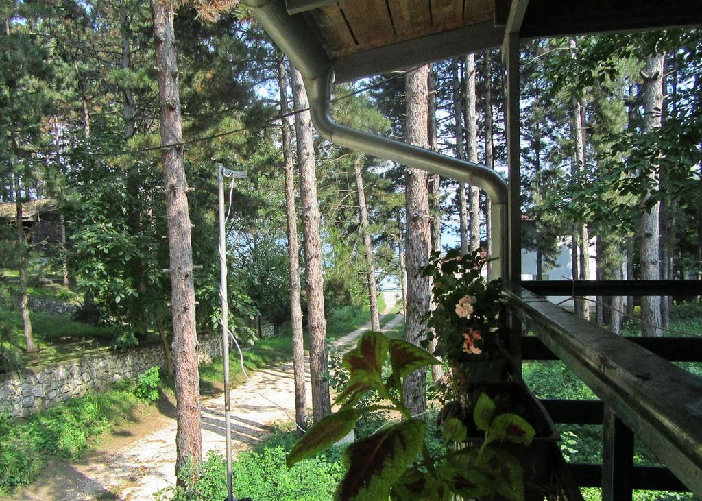 Guest House Keserovic Vinci Exterior photo