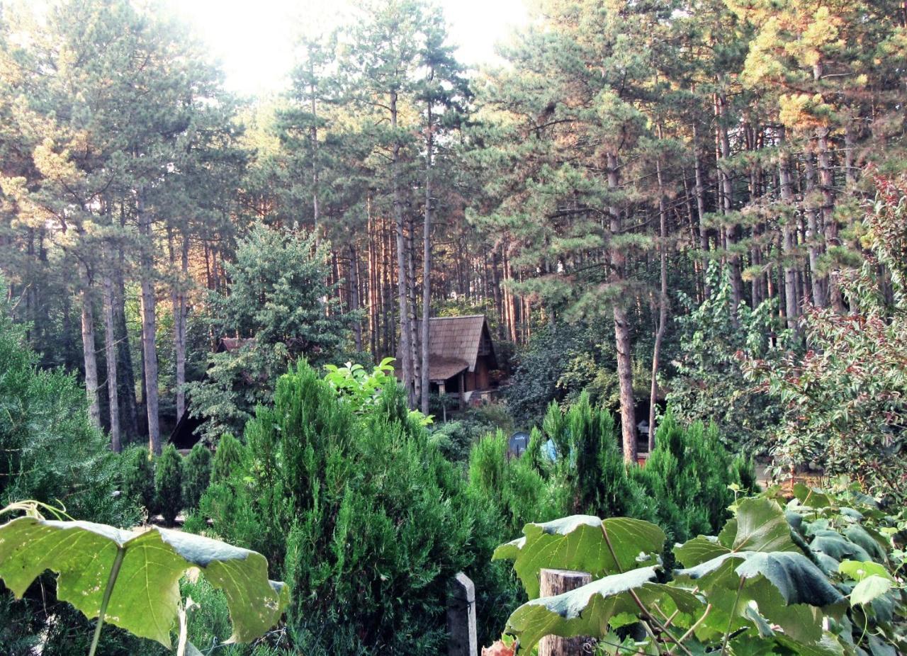 Guest House Keserovic Vinci Exterior photo