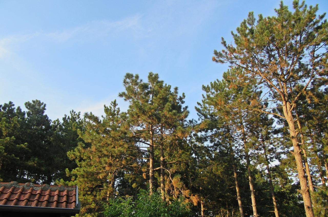 Guest House Keserovic Vinci Exterior photo