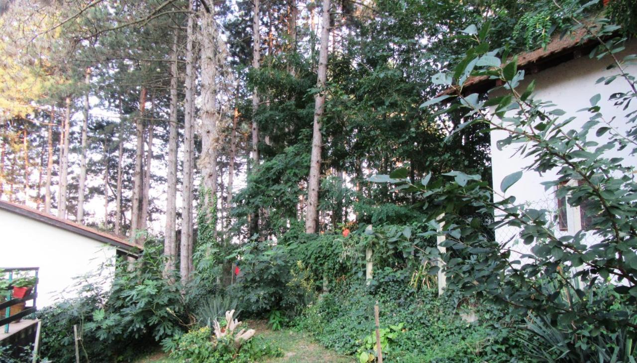 Guest House Keserovic Vinci Exterior photo