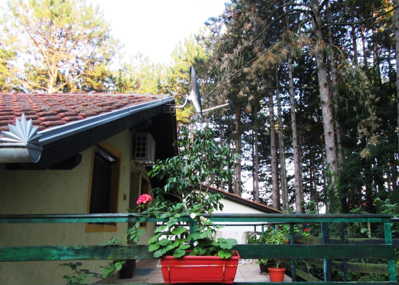 Guest House Keserovic Vinci Exterior photo