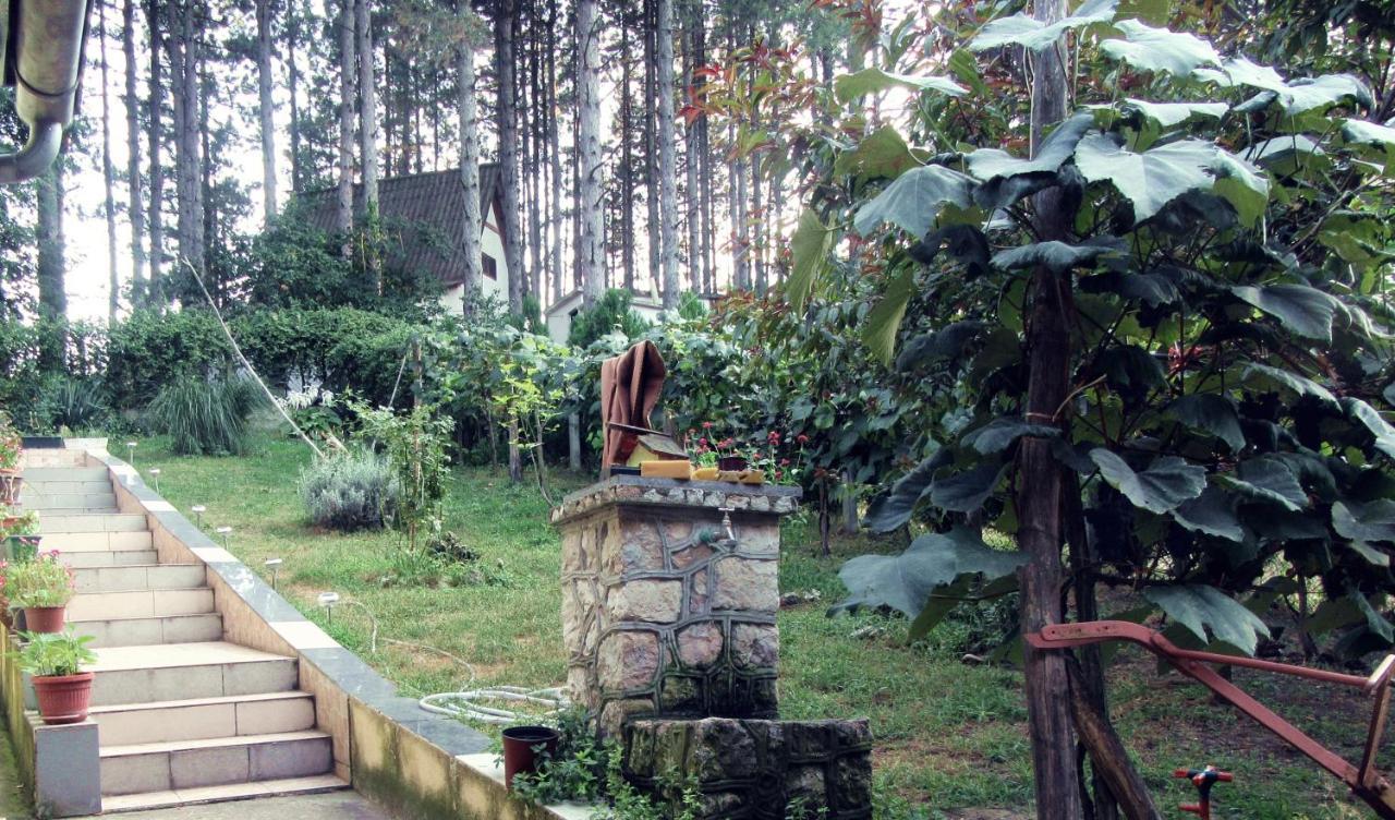 Guest House Keserovic Vinci Exterior photo